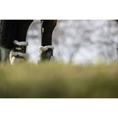 Veredus Protège-Boulets Carbon Gel Absolute Save the Sheep Rear Marron Veredus Protège-Boulets Carbon Gel Absolute Save the Sheep Rear Marron