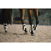 Veredus Protège-Boulets Carbon Gel Absolute Save the Sheep Rear Noir Veredus Protège-Boulets Carbon Gel Absolute Save the Sheep Rear Noir