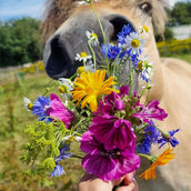 Vitalstyle Fleurs de Pré Vitalstyle Fleurs de Pré