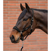 Waldhausen Ensemble Licol Velvet Noir Waldhausen Ensemble Licol Velvet Noir