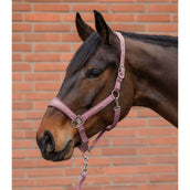 Waldhausen Ensemble Licol Velvet Dusky Pink Waldhausen Ensemble Licol Velvet Dusky Pink