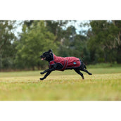 WeatherBeeta Couverture pour Chien ComFiTec Premier Deluxe Waterproof Bourgogne/Marine WeatherBeeta Couverture pour Chien ComFiTec Premier Deluxe Waterproof Bourgogne/Marine