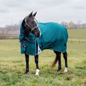 WeatherBeeta ComFiTec Plus Dynamic Turnout Detach-A-Neck 360g Forest Green/Navy WeatherBeeta ComFiTec Plus Dynamic Turnout Detach-A-Neck 360g Forest Green/Navy