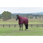 WeatherBeeta ComFiTec Essential Turnout Detach-A-Neck 220g Bourgogne/Marine WeatherBeeta ComFiTec Essential Turnout Detach-A-Neck 220g Bourgogne/Marine