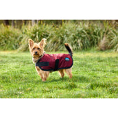 WeatherBeeta Couverture pour Chien ComFiTec Classic Waterproof Bordeaux WeatherBeeta Couverture pour Chien ComFiTec Classic Waterproof Bordeaux