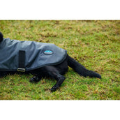 WeatherBeeta Couverture pour Chien ComFiTec Classic Waterproof Charbon WeatherBeeta Couverture pour Chien ComFiTec Classic Waterproof Charbon