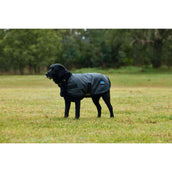 WeatherBeeta Couverture pour Chien ComFiTec Classic Waterproof Charbon WeatherBeeta Couverture pour Chien ComFiTec Classic Waterproof Charbon