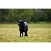 WeatherBeeta Couverture pour Chien ComFiTec Classic Waterproof Charbon WeatherBeeta Couverture pour Chien ComFiTec Classic Waterproof Charbon