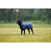 WeatherBeeta Couverture pour Chien ComFiTec Classic Waterproof Marin WeatherBeeta Couverture pour Chien ComFiTec Classic Waterproof Marin