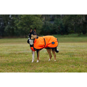 WeatherBeeta Couverture pour Chien ComFiTec Reflective 300D Deluxe Showerproof Orange WeatherBeeta Couverture pour Chien ComFiTec Reflective 300D Deluxe Showerproof Orange