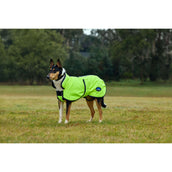 WeatherBeeta Couverture pour Chien ComFiTec Reflective 300D Deluxe Showerproof Jaune WeatherBeeta Couverture pour Chien ComFiTec Reflective 300D Deluxe Showerproof Jaune