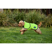WeatherBeeta Couverture pour Chien ComFiTec Reflective 300D Deluxe Showerproof Jaune WeatherBeeta Couverture pour Chien ComFiTec Reflective 300D Deluxe Showerproof Jaune