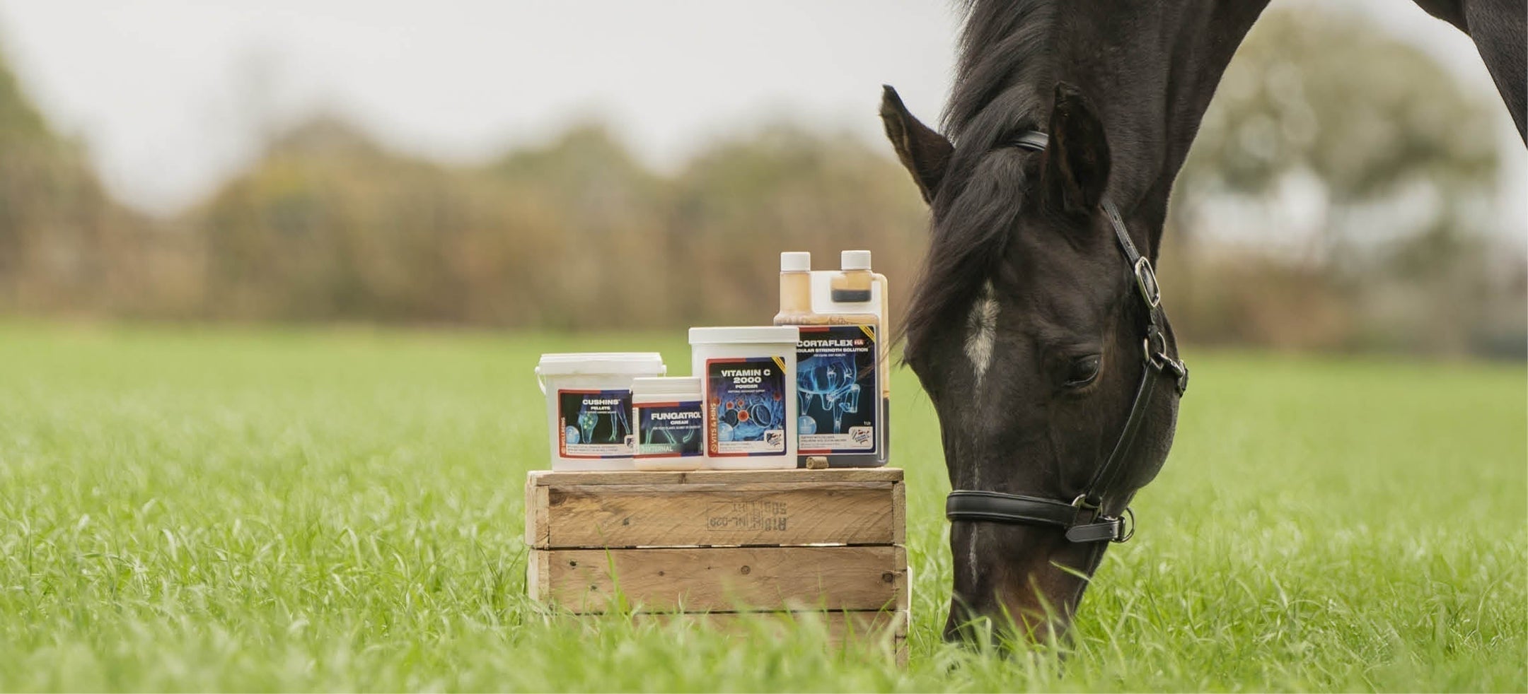 Prêt pour la nouvelle saison ? Les produits printemps et été d'Equine America