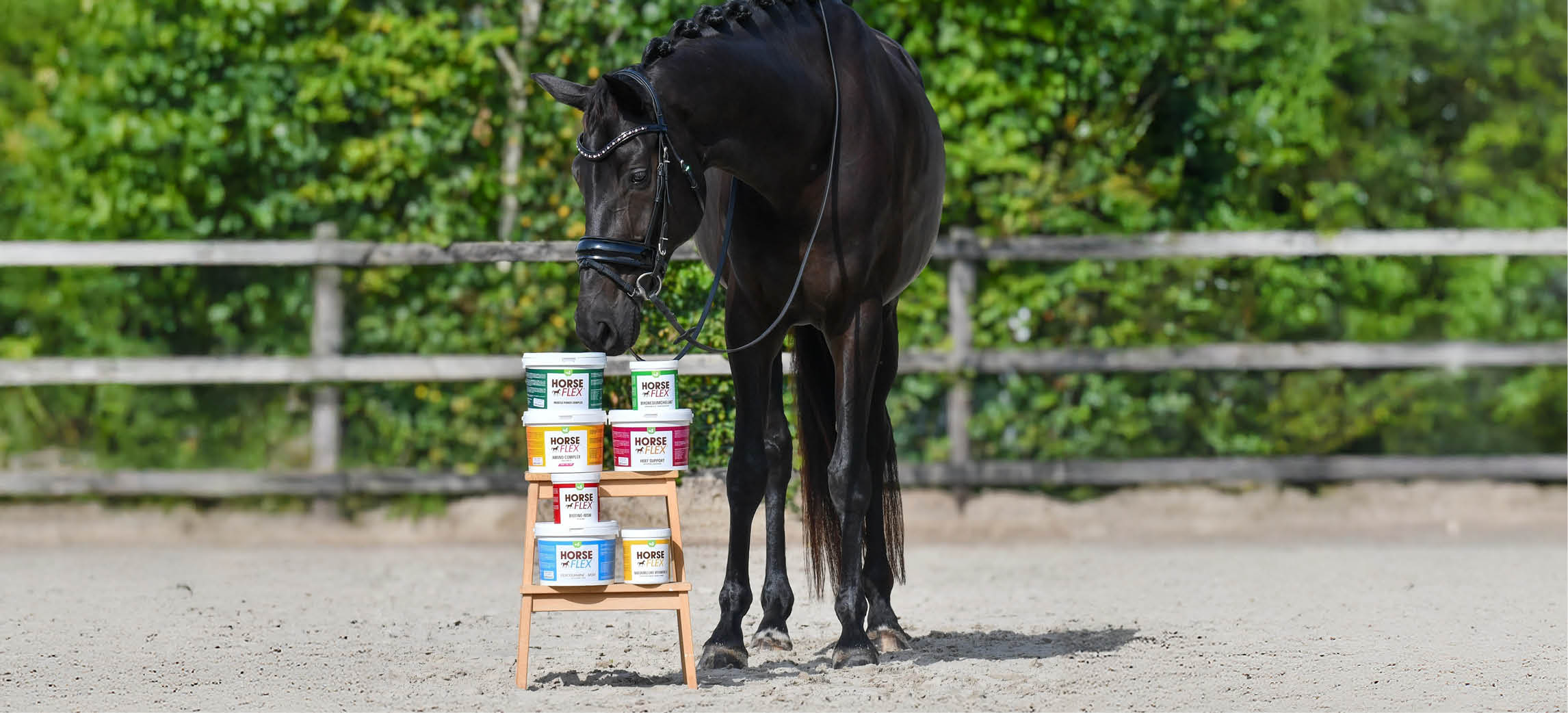HorseFlex: Tout sur les compléments alimentaires