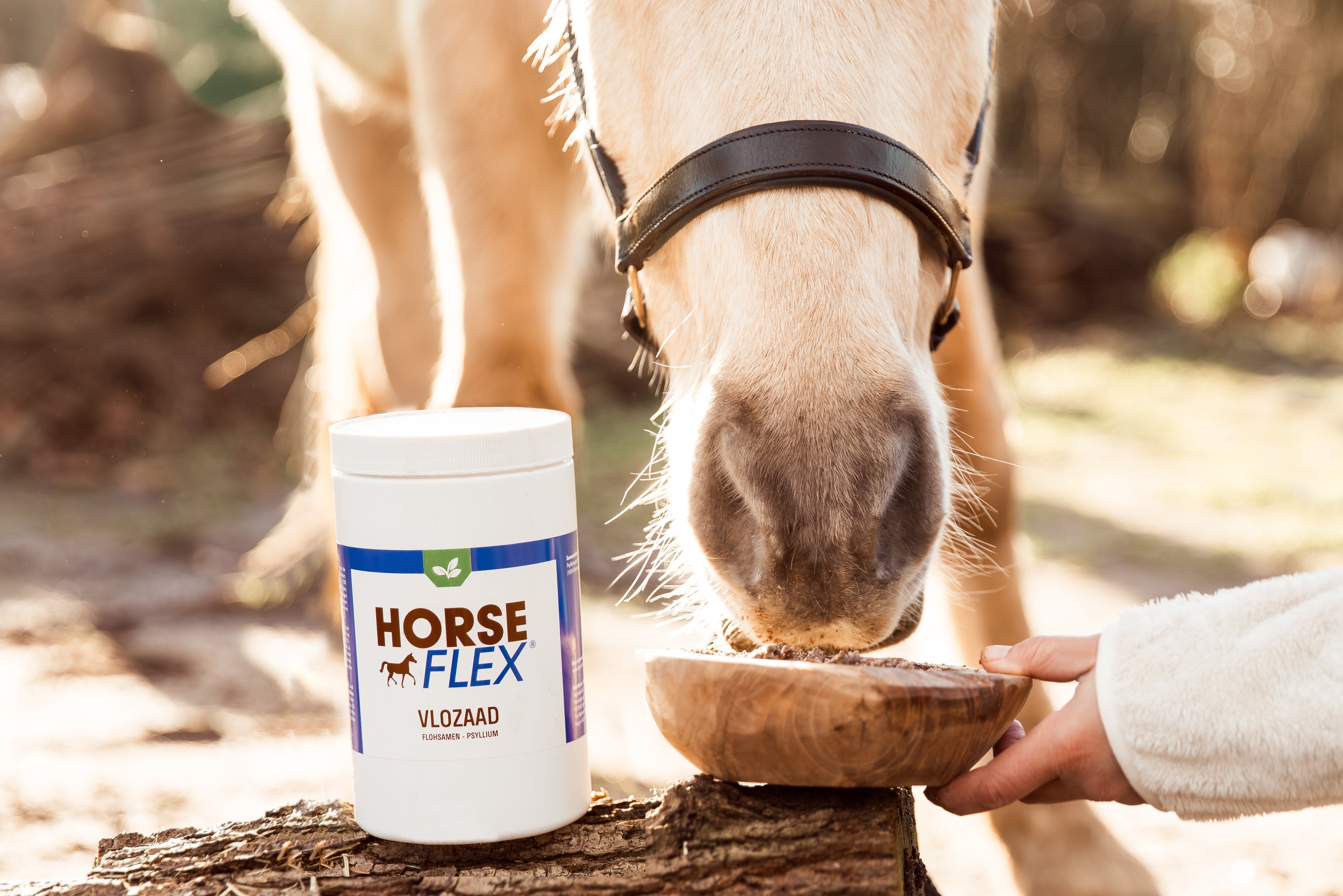 Cure de sable en automne : tout sur le psyllium pour les chevaux