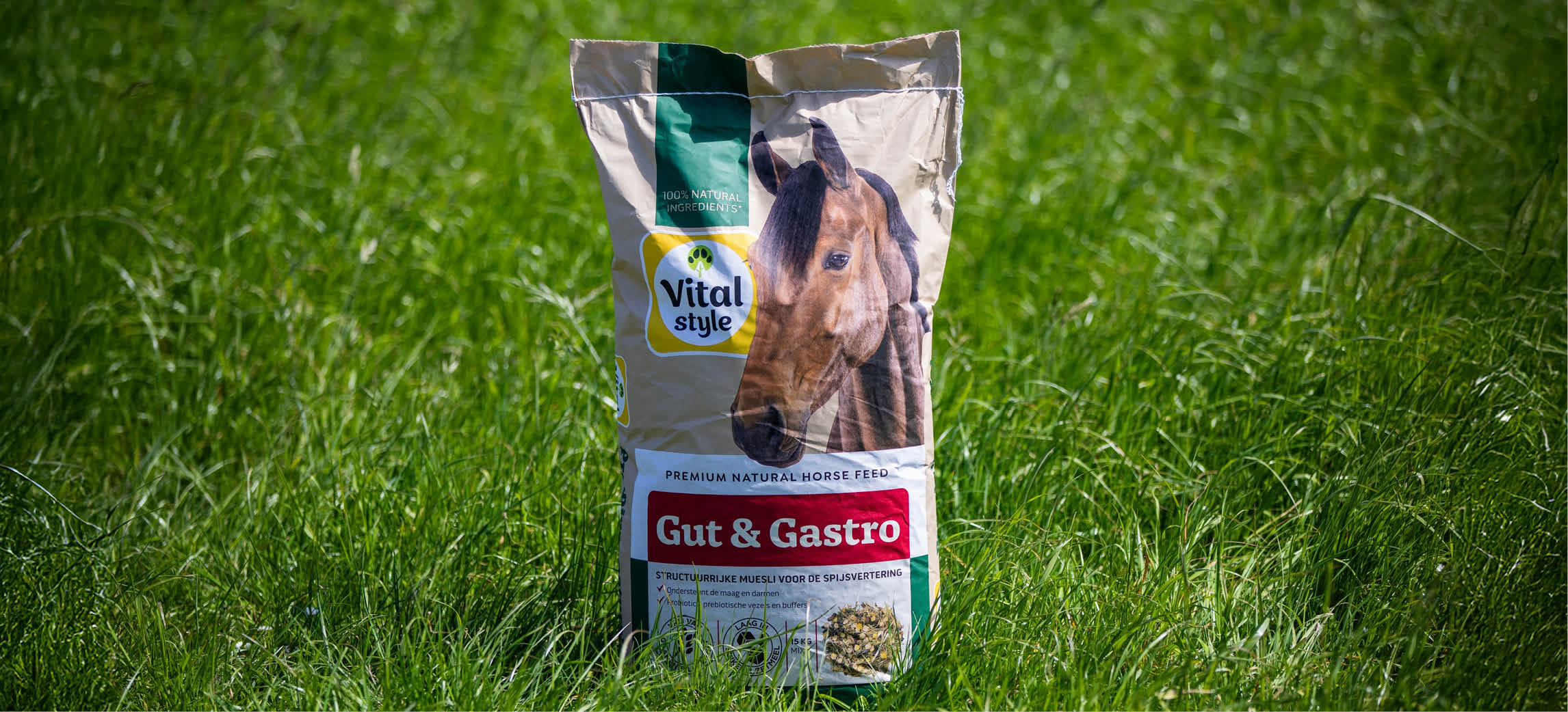 Vitalstyle : l’alimentation pour chevaux mise en lumière