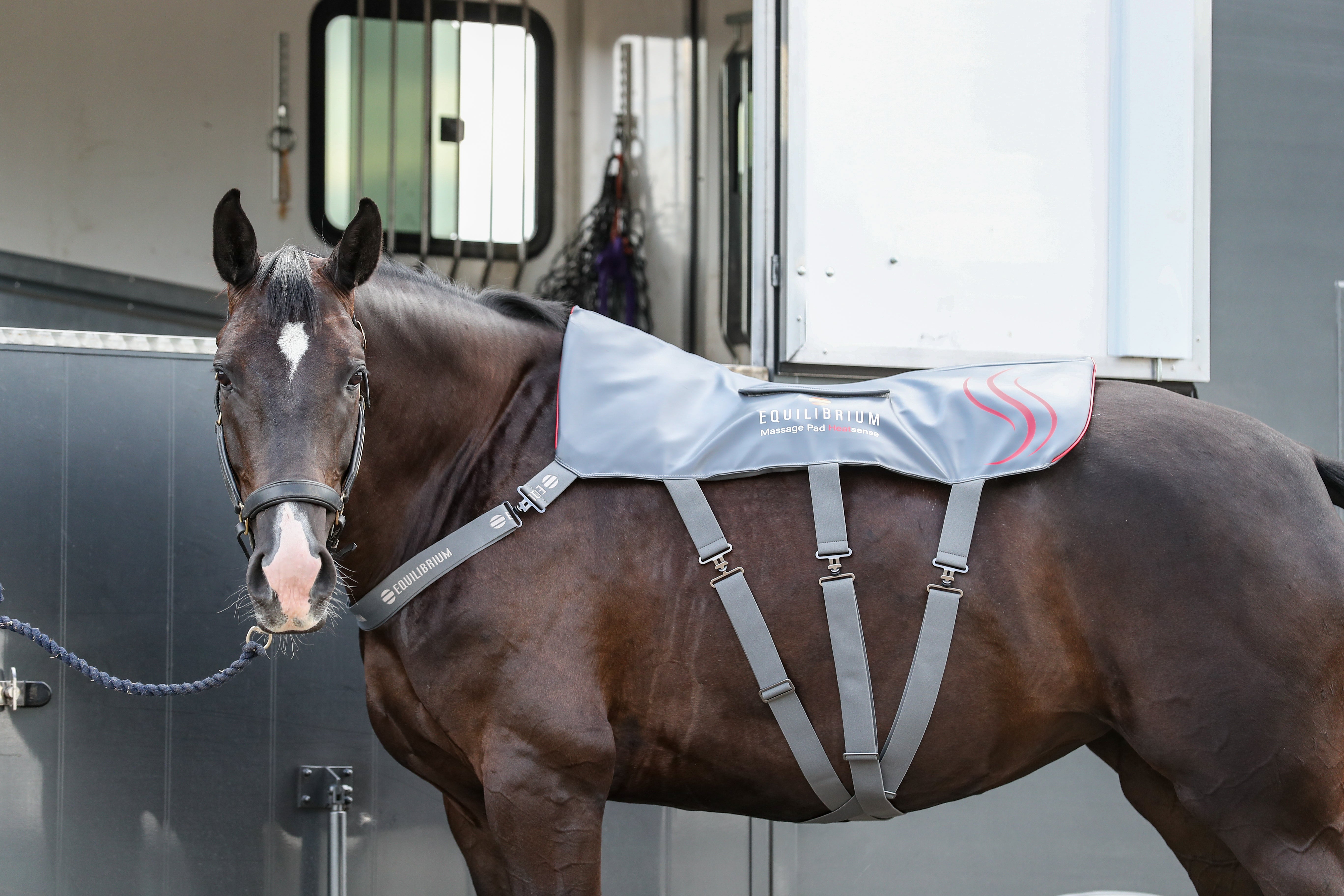 Les bienfaits de la chaleur et des massages pour votre cheval