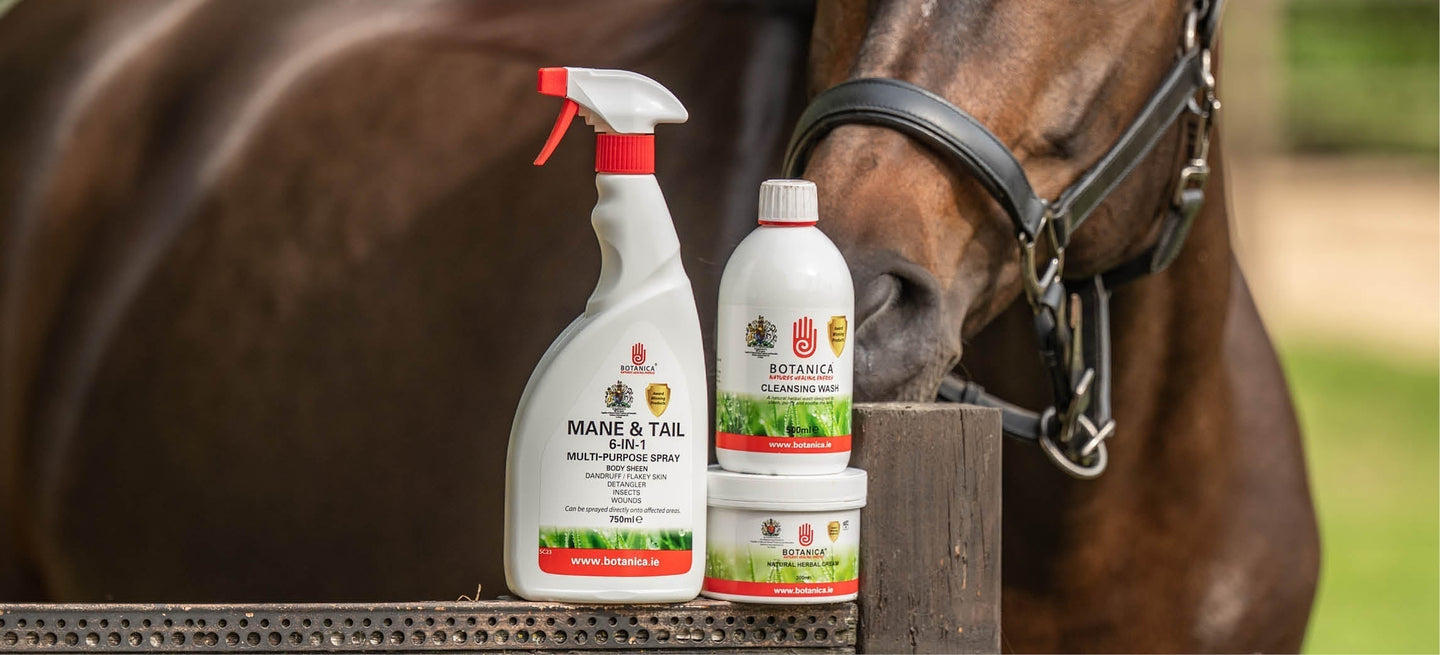 Aide ton cheval en cas de démangeaisons !