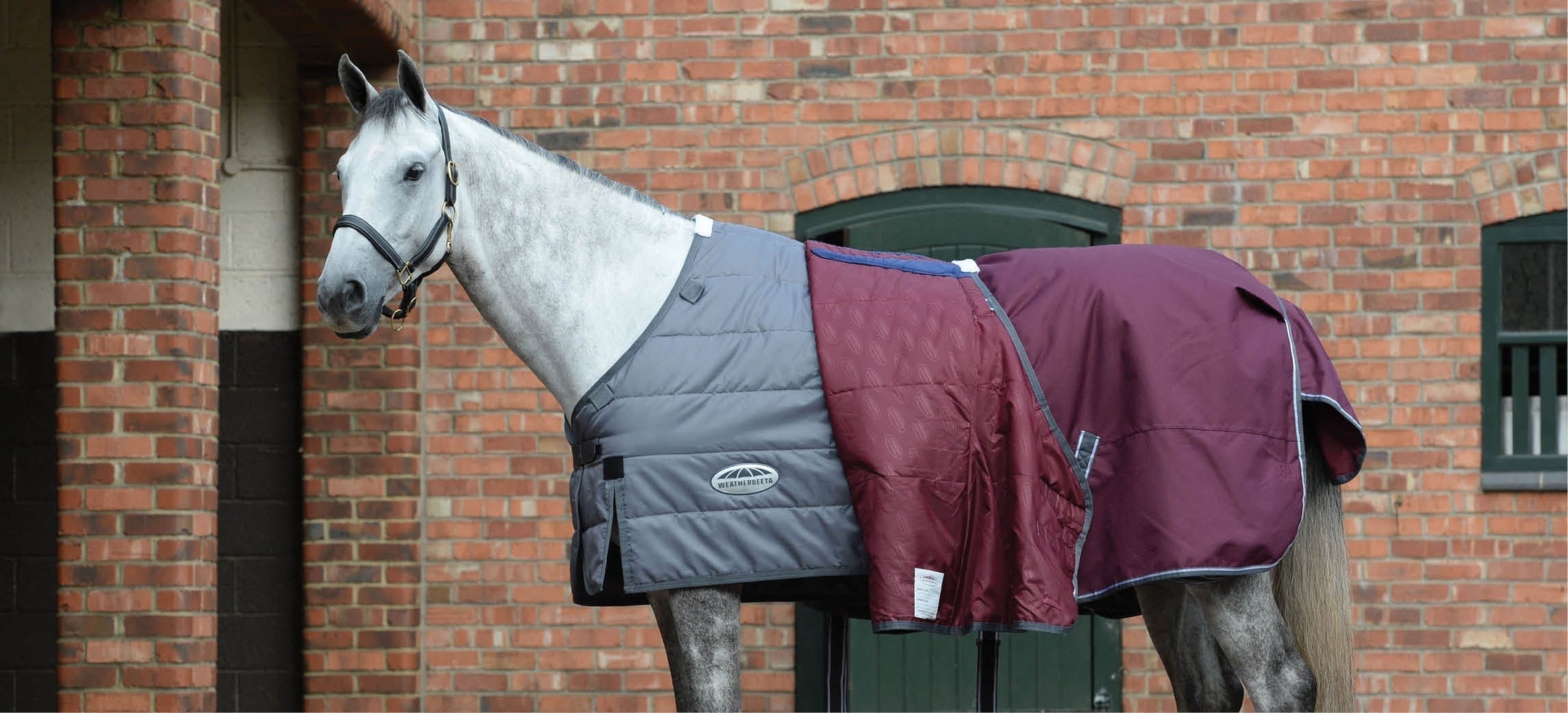 Guide des couvertures : quand utiliser quelle couverture pour votre cheval ?