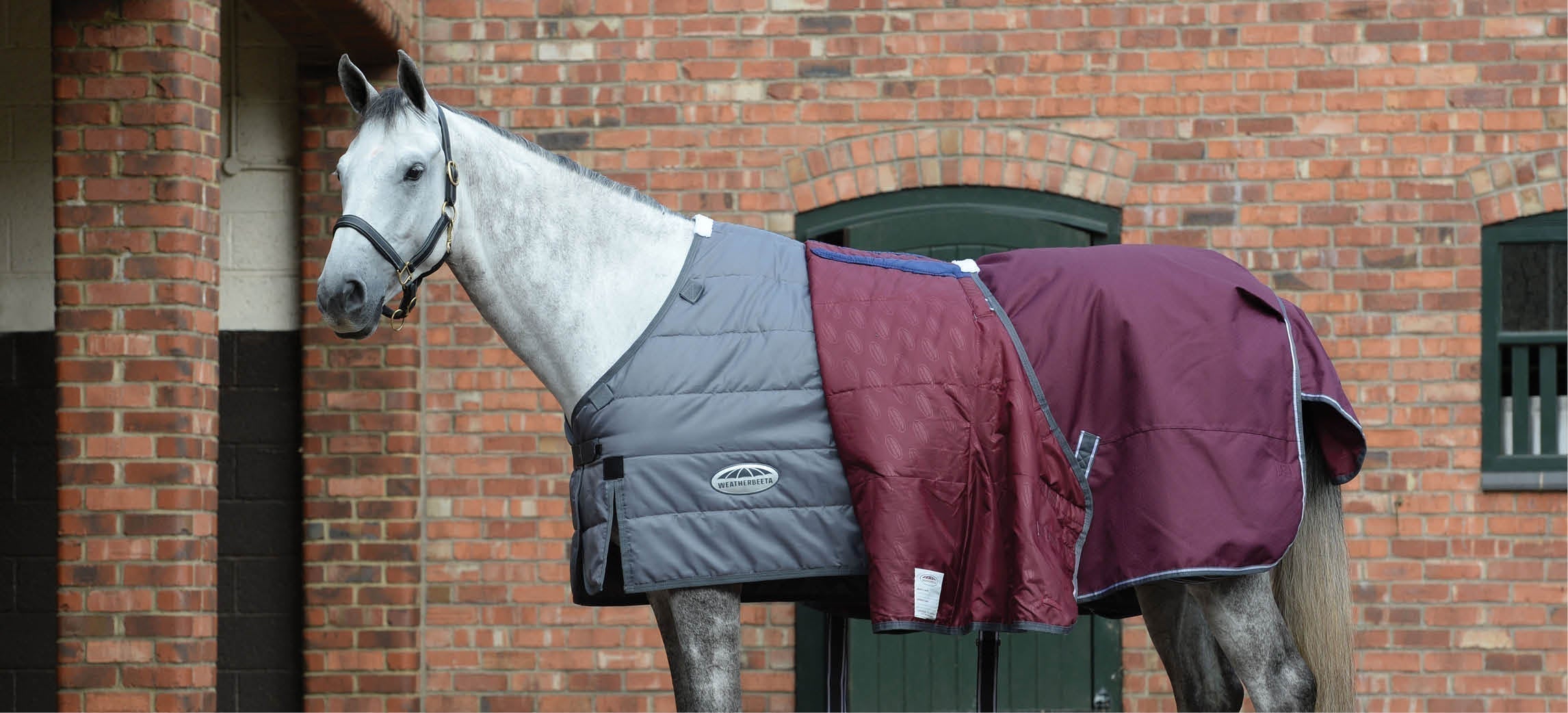 Guide des couvertures : quand utiliser quelle couverture pour votre cheval ?