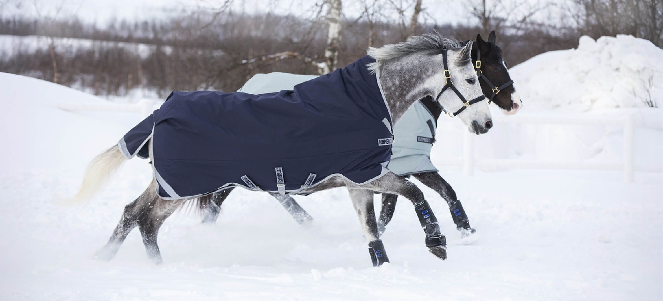 Guide des couvertures d’hiver : quelle couverture d’hiver convient à mon cheval ?