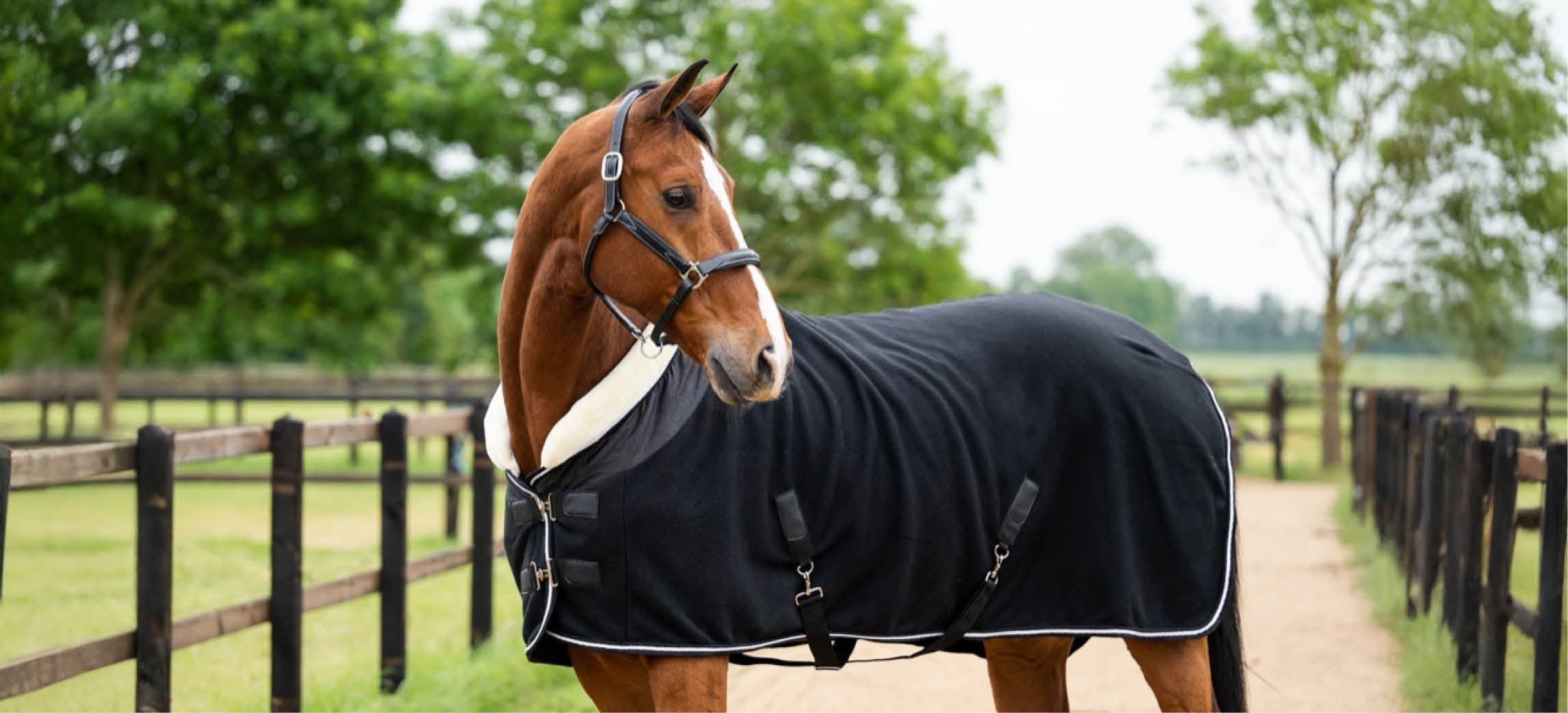 Couverture en laine ou en polaire pour votre cheval ?