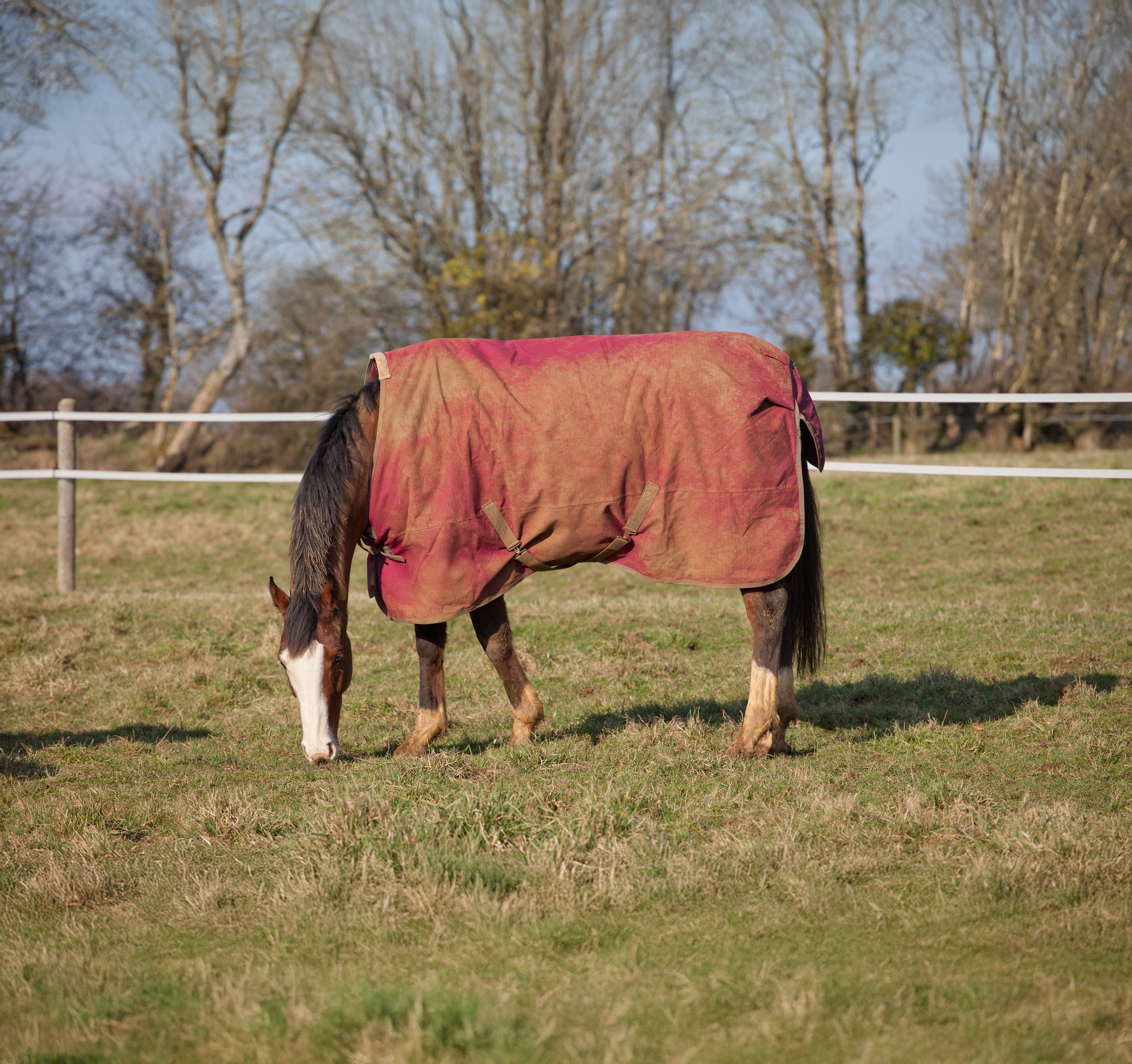 Comment laver une couverture pour cheval ?