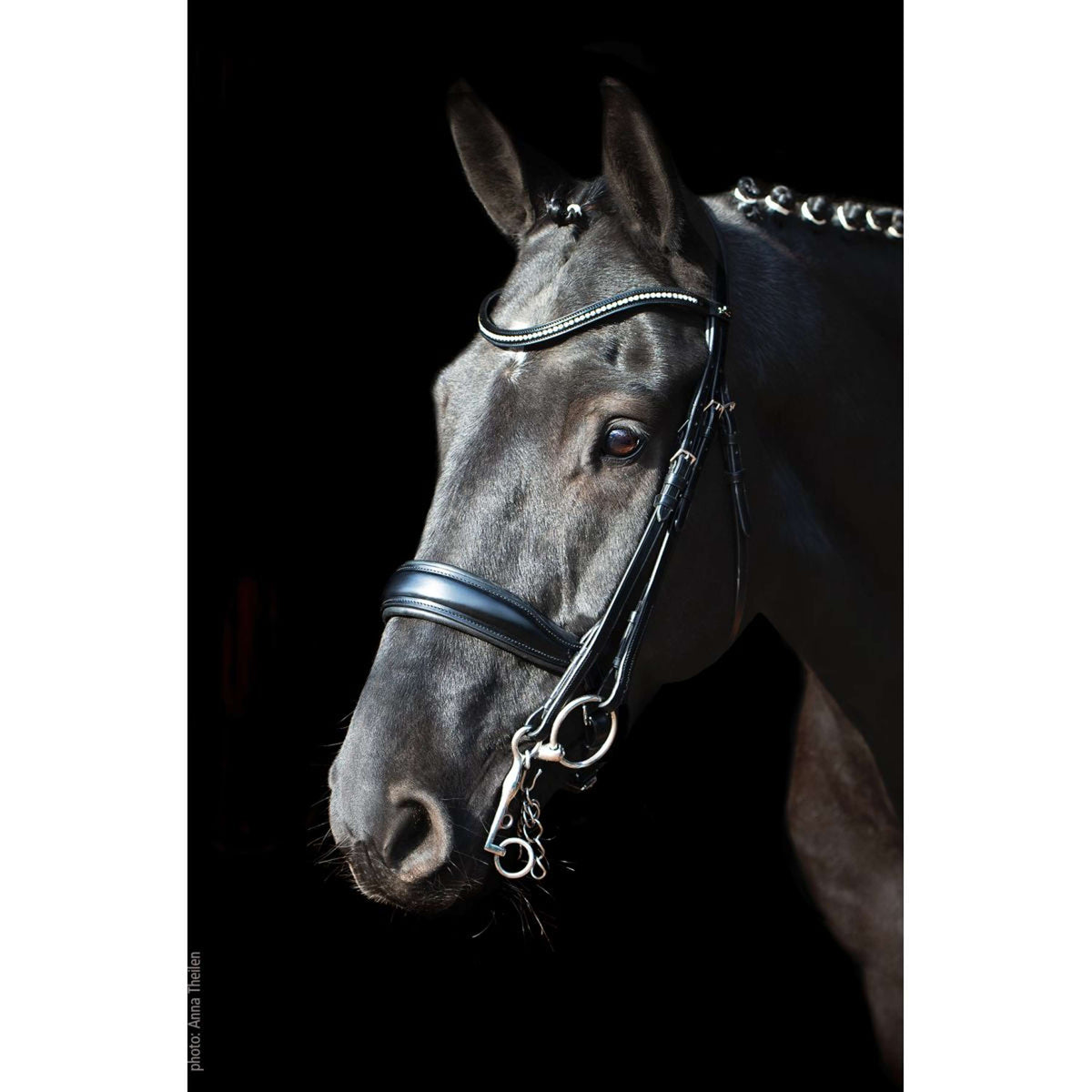 Schockemöhle Ensemble Bride Classic Line Milan Noir/Argent