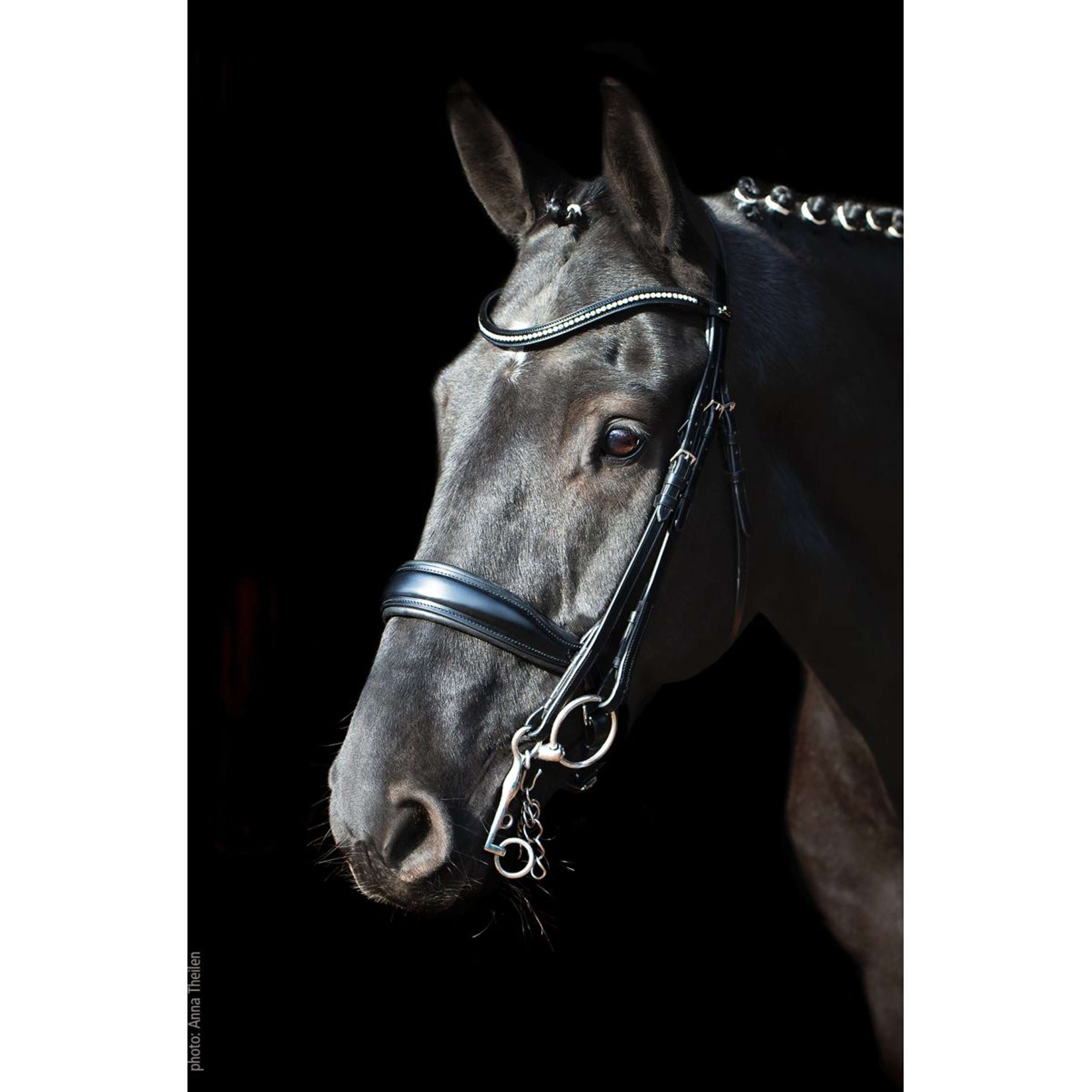 Schockemöhle Ensemble Bride Classic Line Milan Noir/Argent