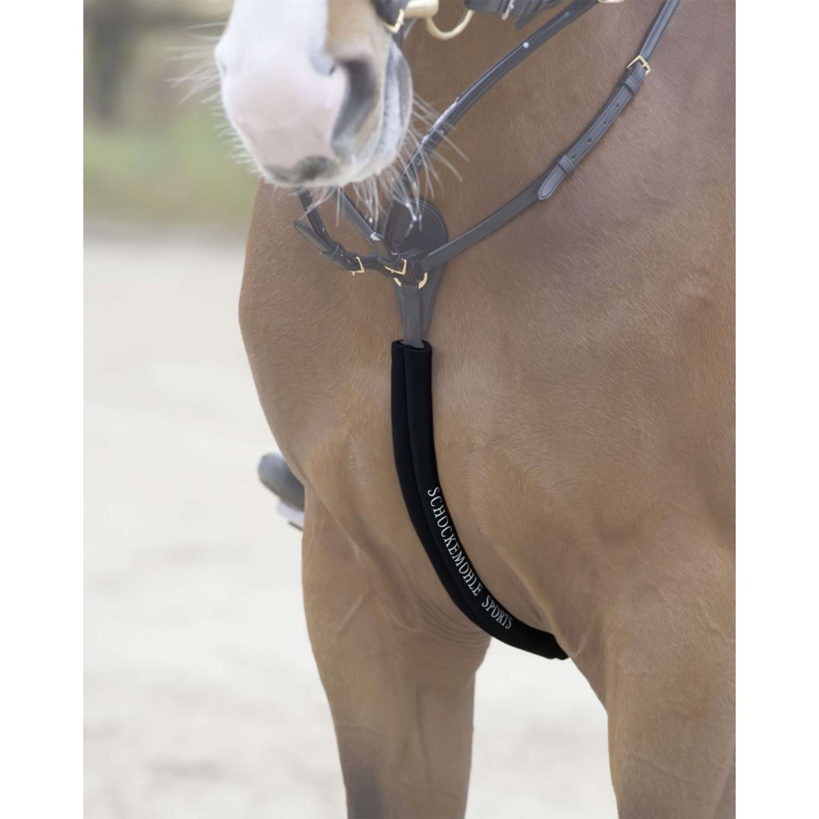 Schockemöhle Body Guard pour Collier de Chasse Noir Schockemöhle Body Guard pour Collier de Chasse Noir