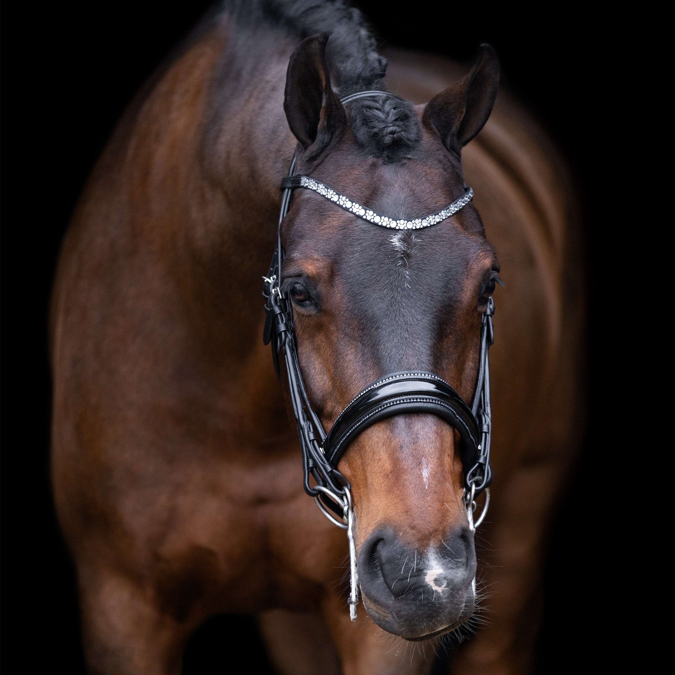 Imperial Riding Ensemble Bride IRHOlympia Noir/Argent