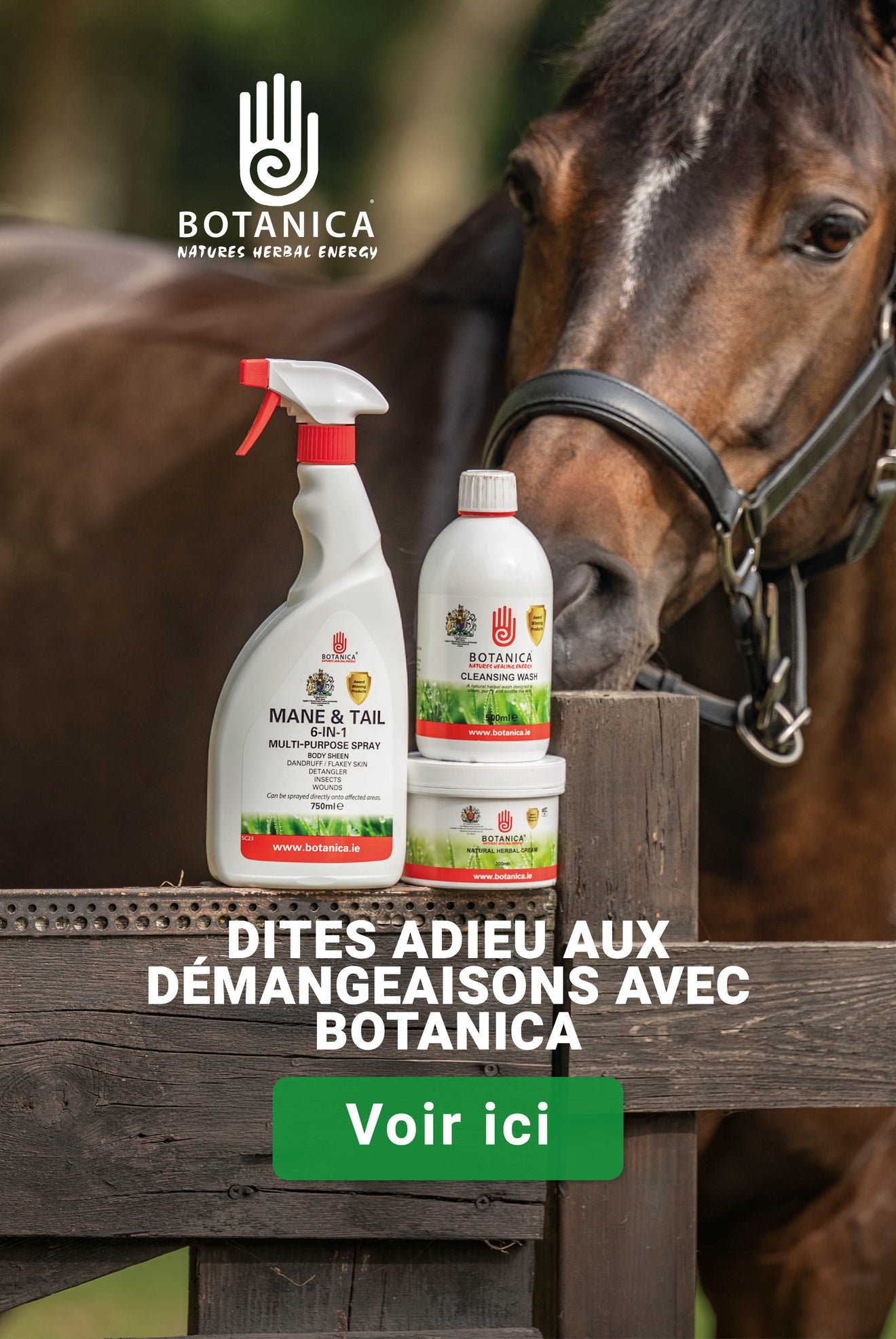 Botanica