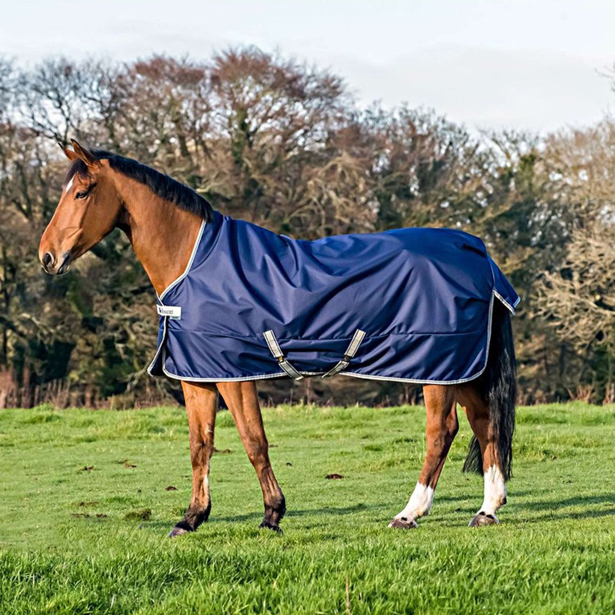 Bucas Freedom Turnout High Neck 150g Marin/Argente