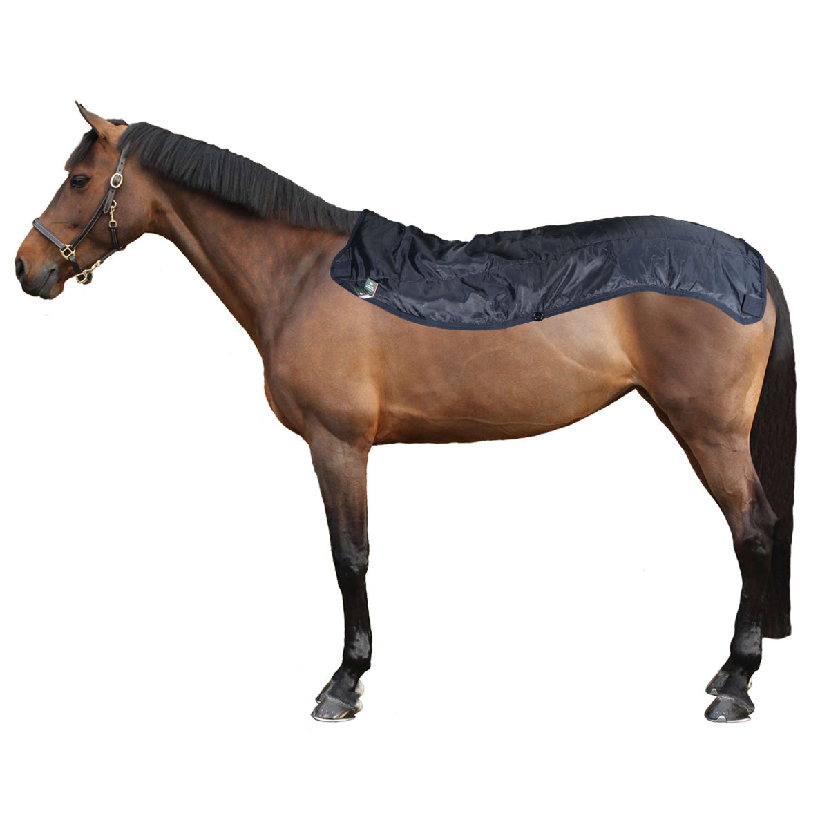 Rambo Chemise Turnout 0g Summer Series Marine/Gris