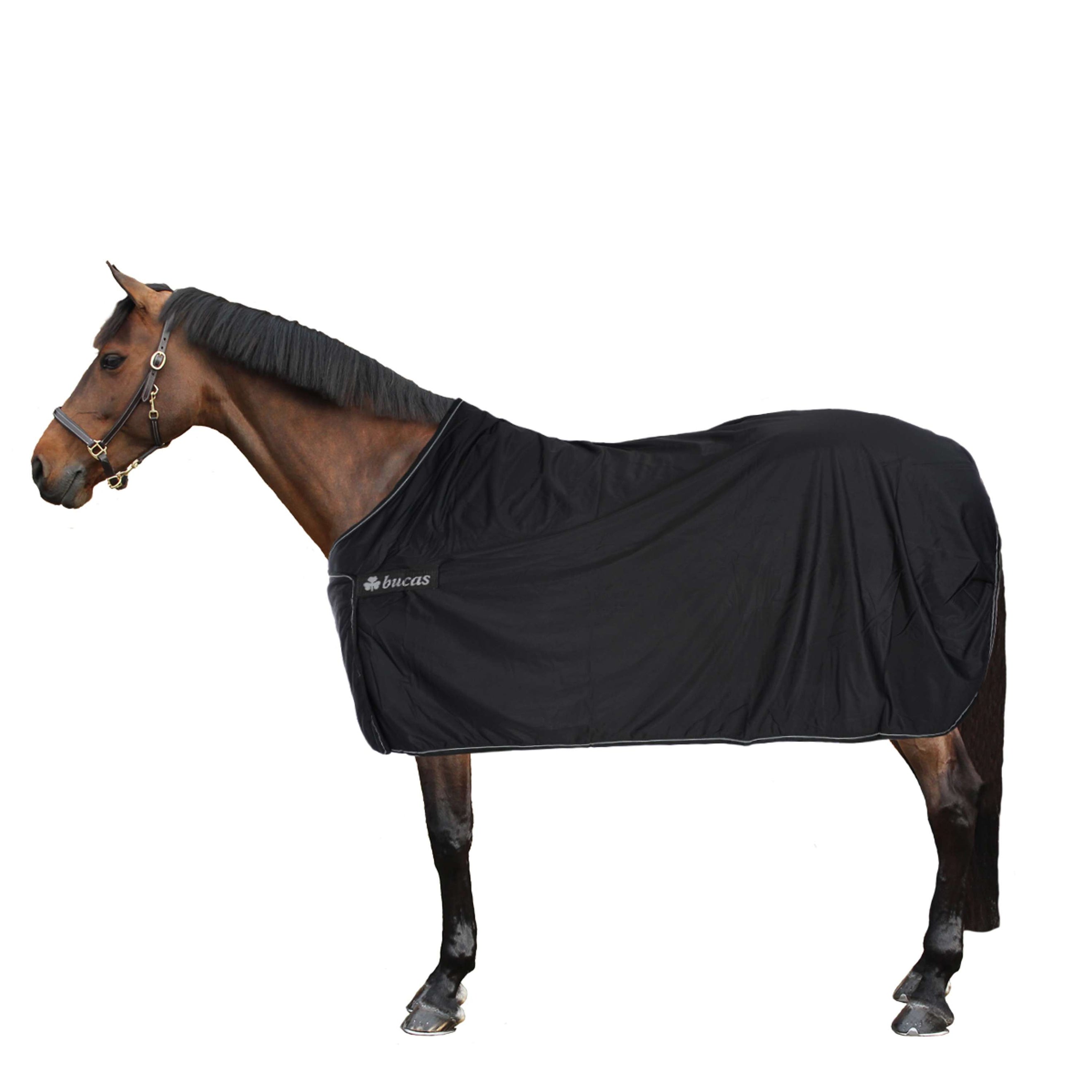 Bucas Panel Prize Cooler Black/Silver Bucas Panel Prize Cooler Black/Silver