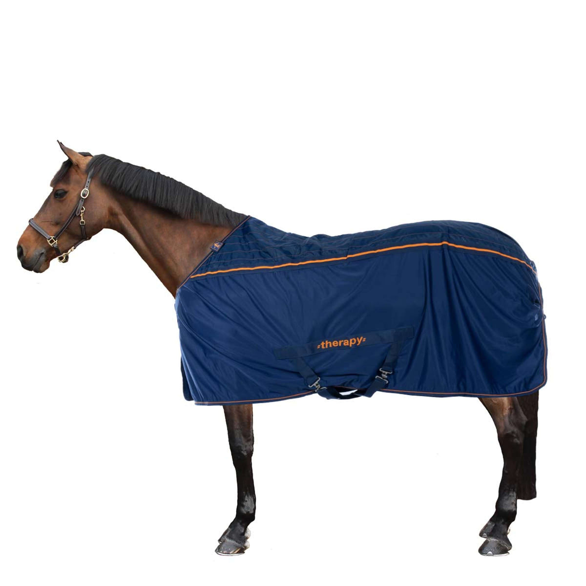 Bucas Therapy Cooler Bleu Marine/Orange
