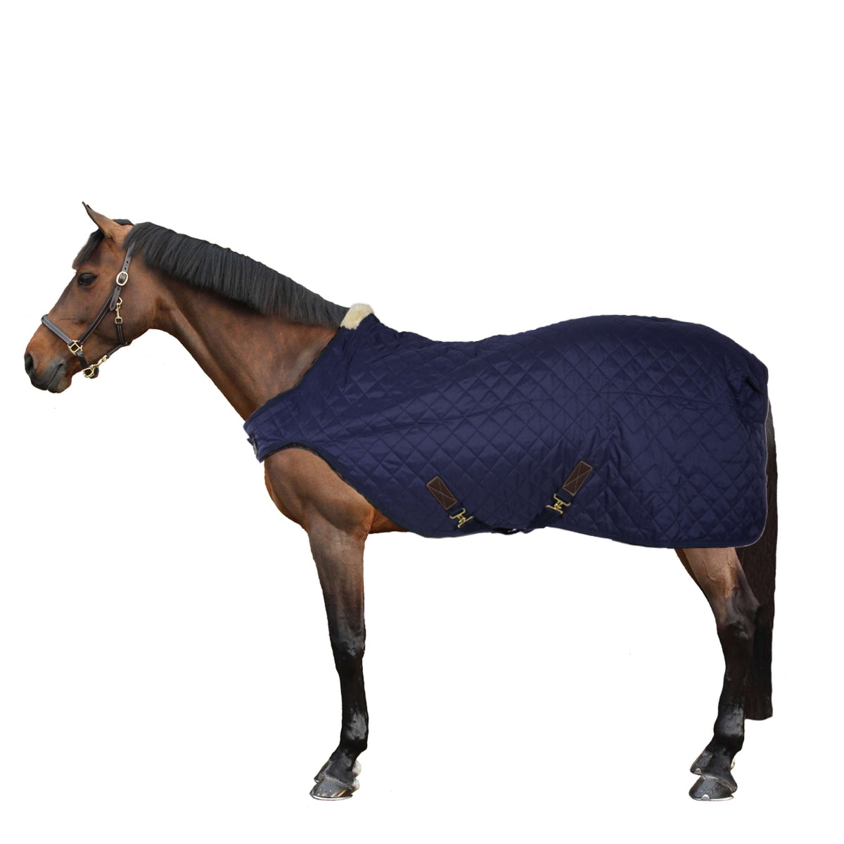 Kentucky Couverture de Marcheur 160g Marin