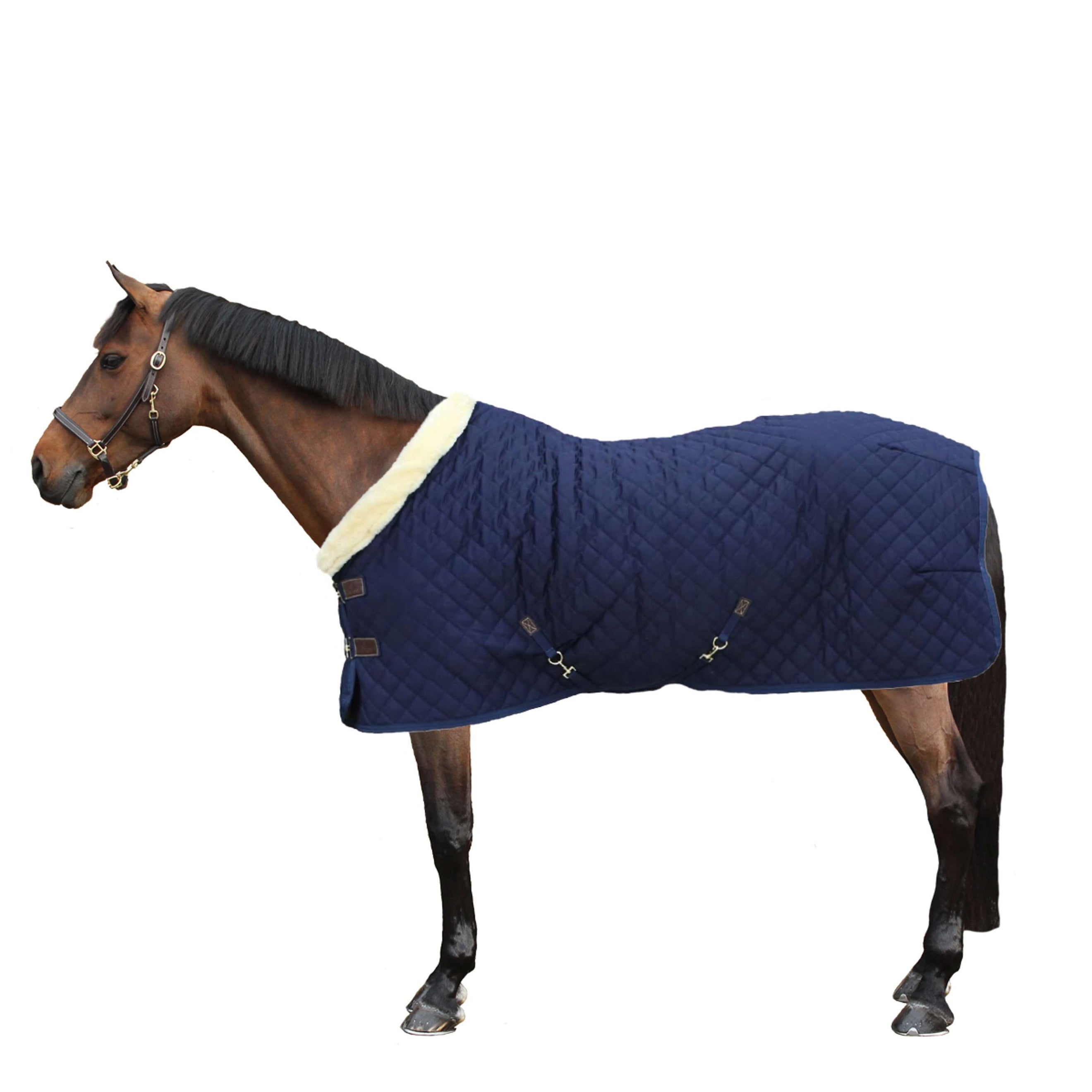 Kentucky Couverture de Concours 160g Marin Kentucky Couverture de Concours 160g Marin