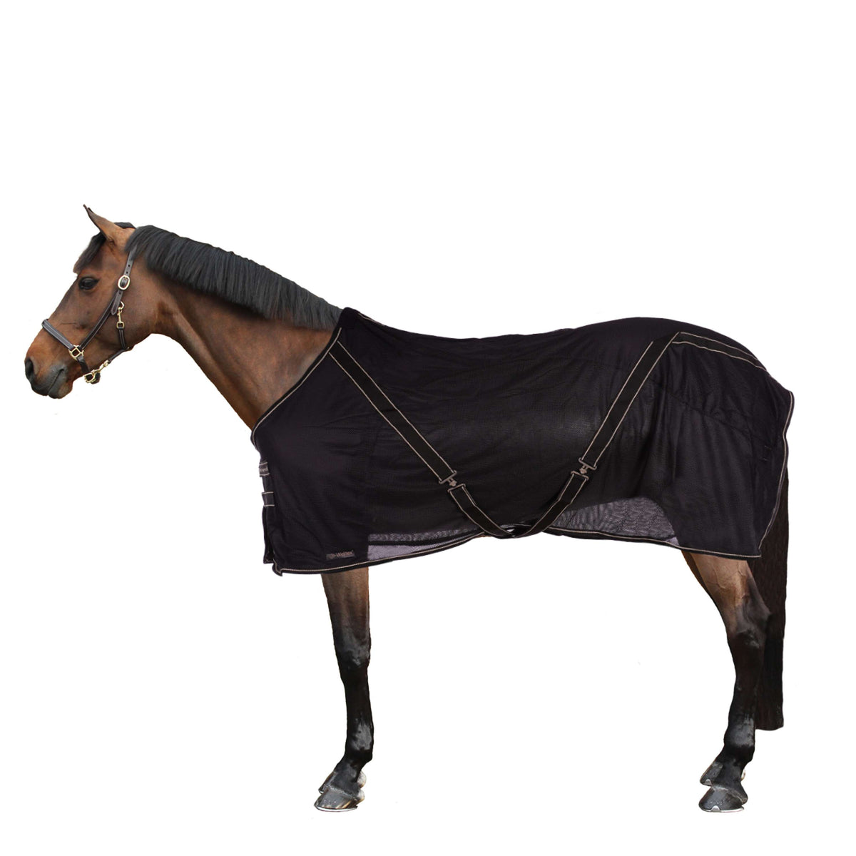 Back on Track Couverture Anti-Mouches Sienna Noir