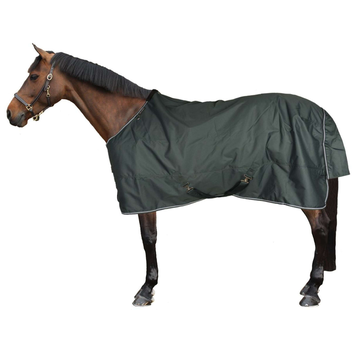 EQUITHÈME Couverture d'Extérieur Tyrex 600D Standard 150g Vert