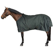 EQUITHÈME Couverture d'Extérieur Tyrex 600D Standard 150g Vert