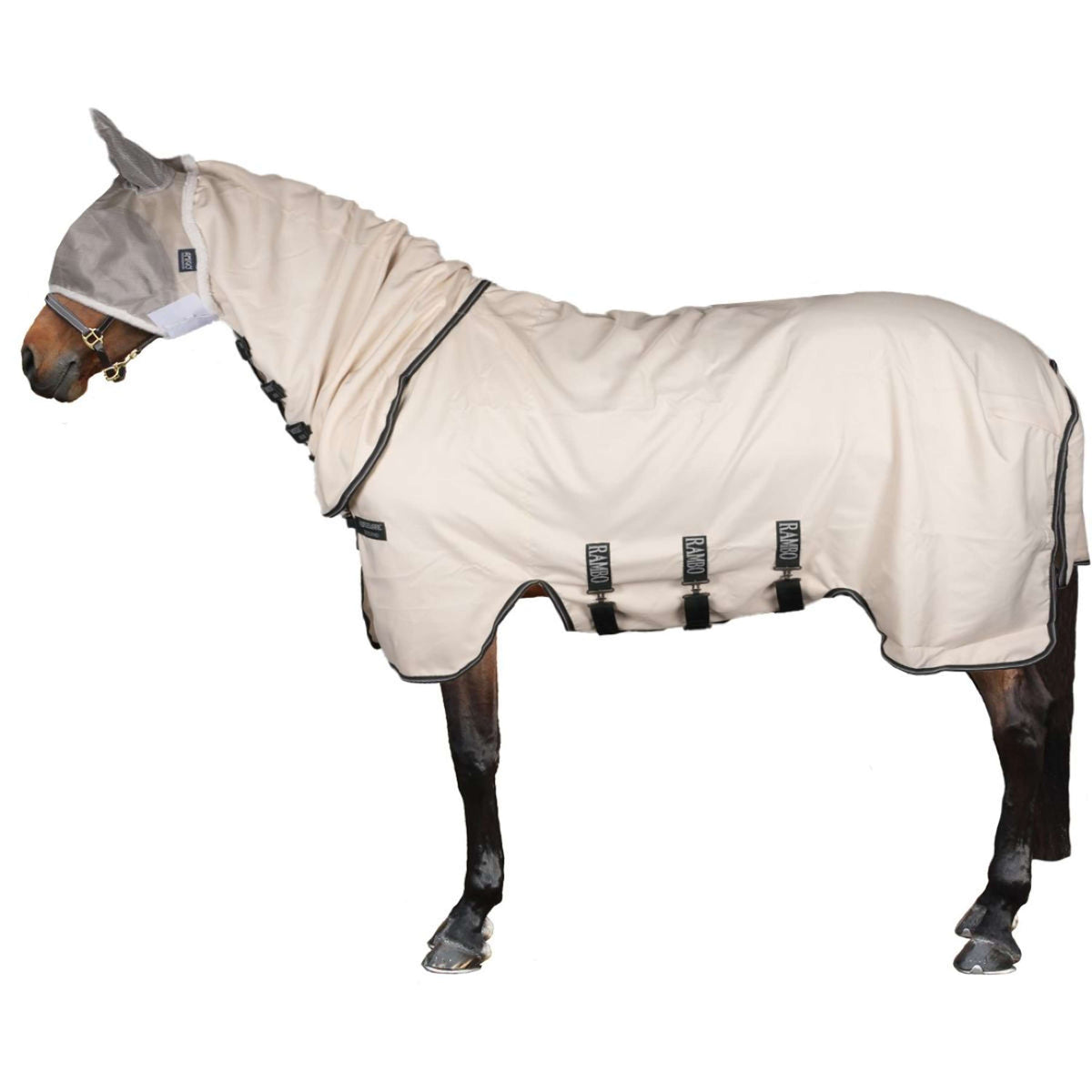 Rambo Pull col Hoodie Craie/Vert chasseur/Argent