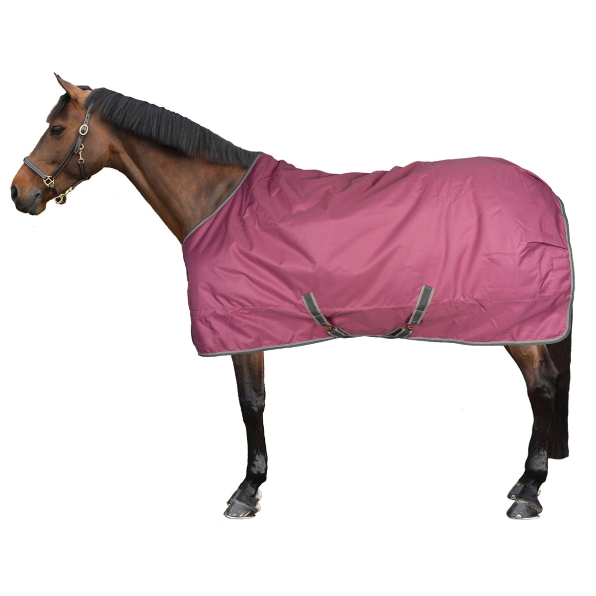 Bucas Couverture d'exterieur 300g Framboise