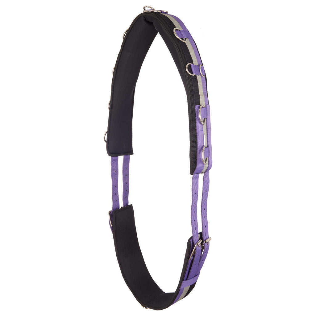 Imperial Riding Surfaix de Longe IRHDeluxe Violet Royal