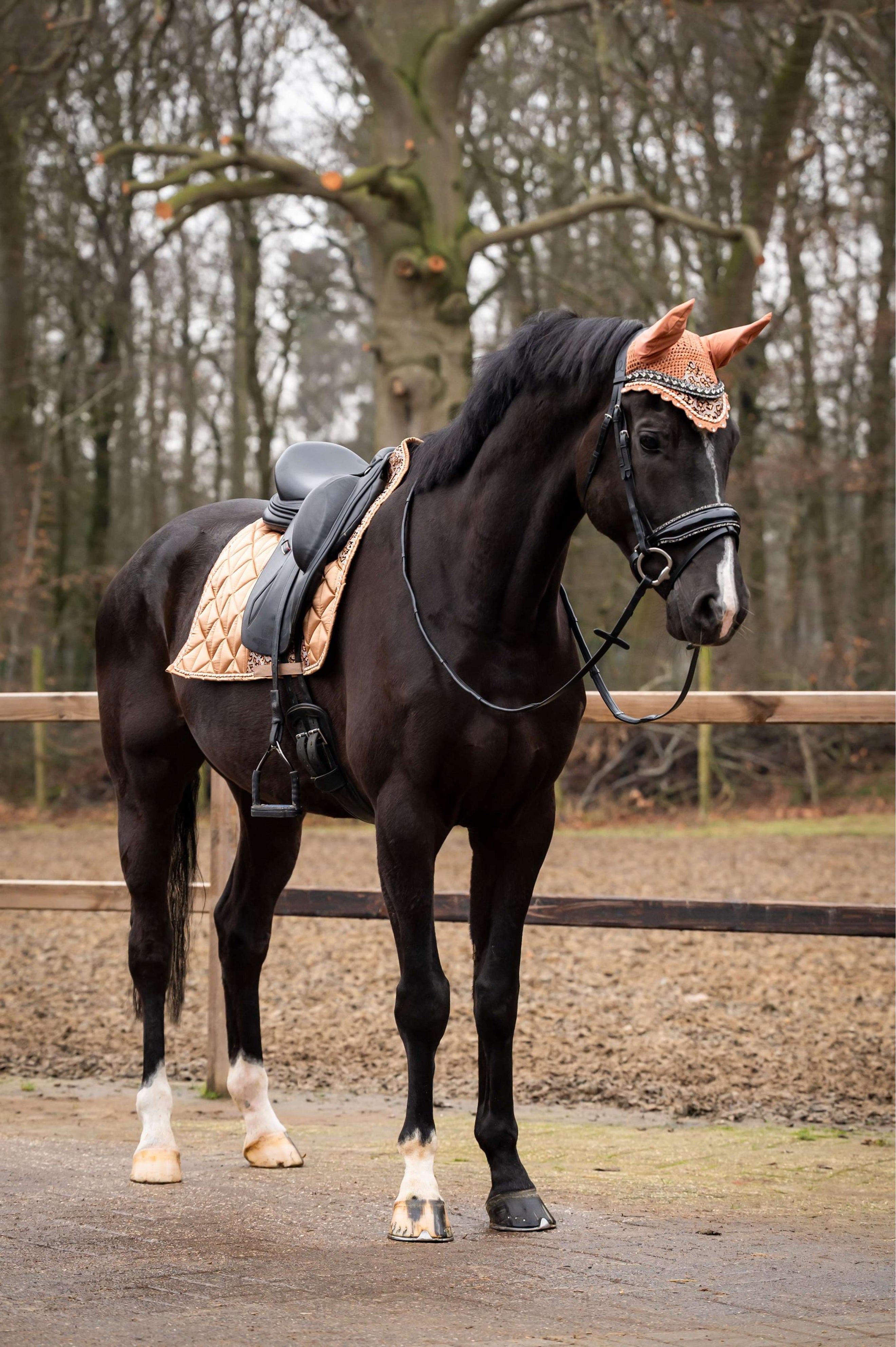 Showtime Tapis de Selle Rio Dressage Beige Showtime Tapis de Selle Rio Dressage Beige
