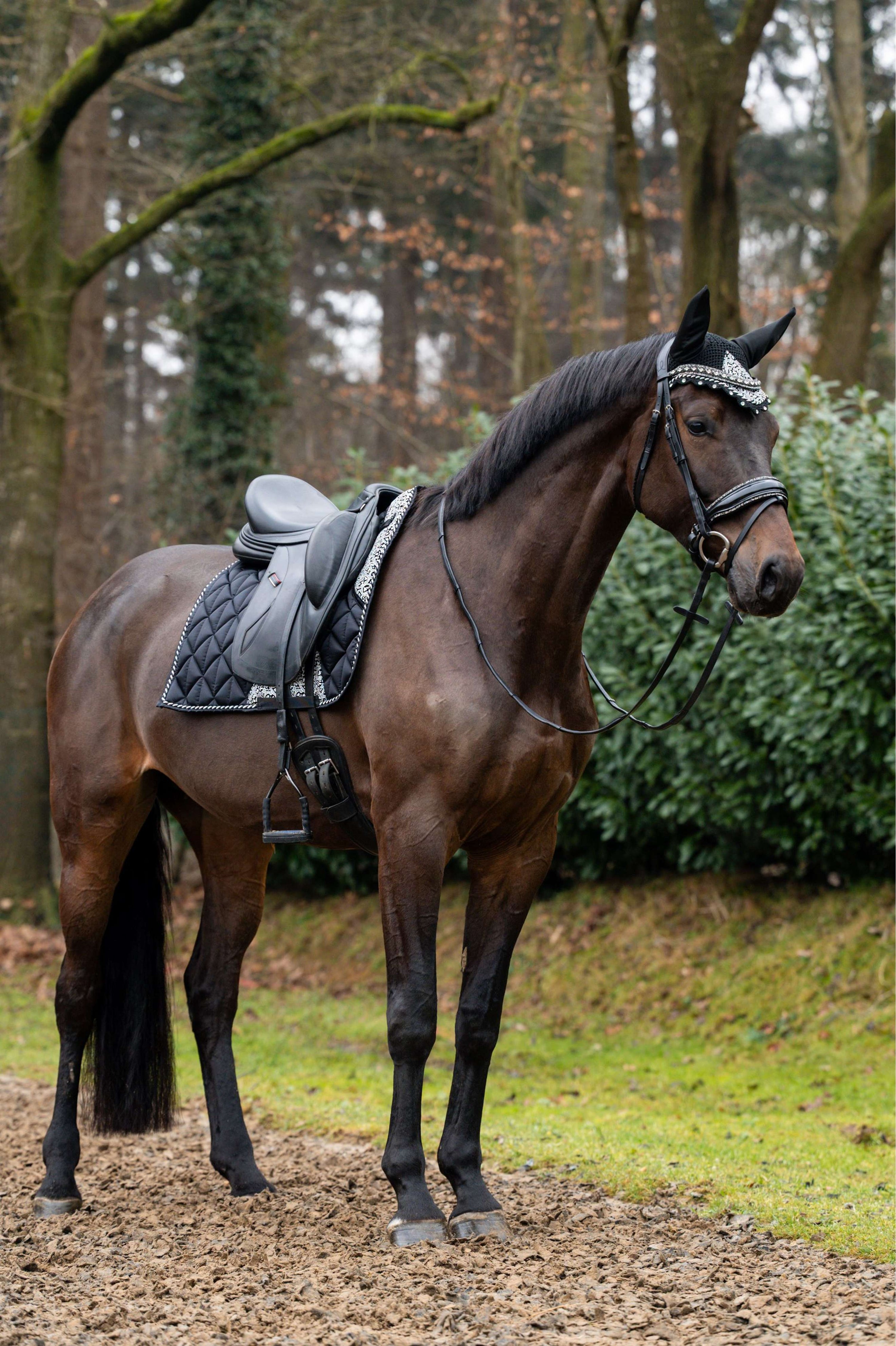 Showtime Tapis de Selle Rio Dressage Noir Showtime Tapis de Selle Rio Dressage Noir