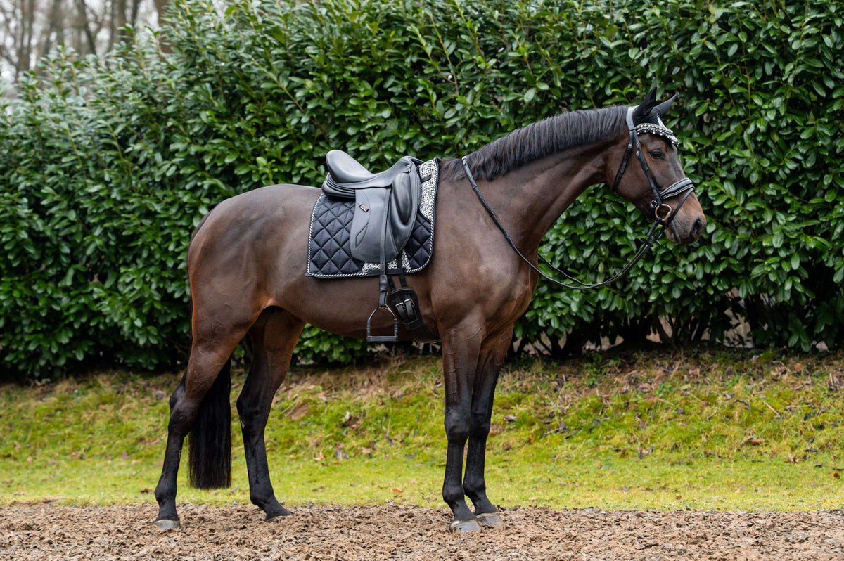 Showtime Tapis de Selle Rio Dressage Noir