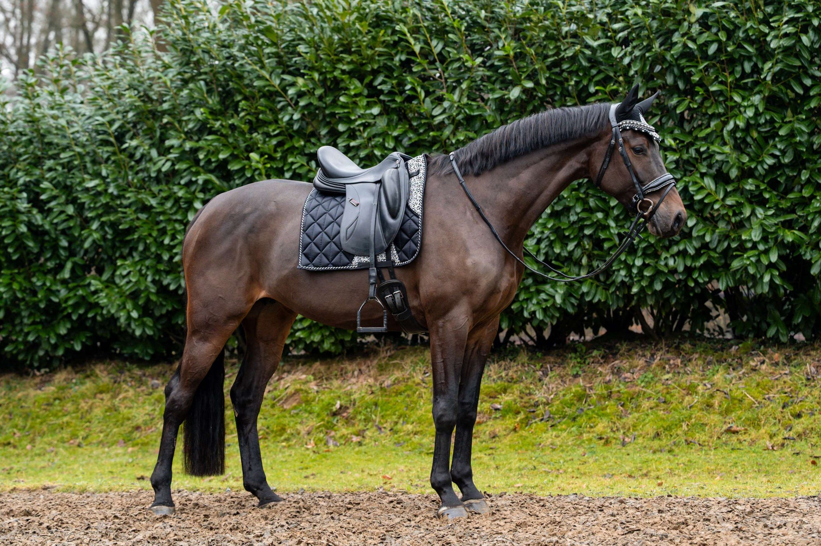 Showtime Tapis de Selle Rio Dressage Noir