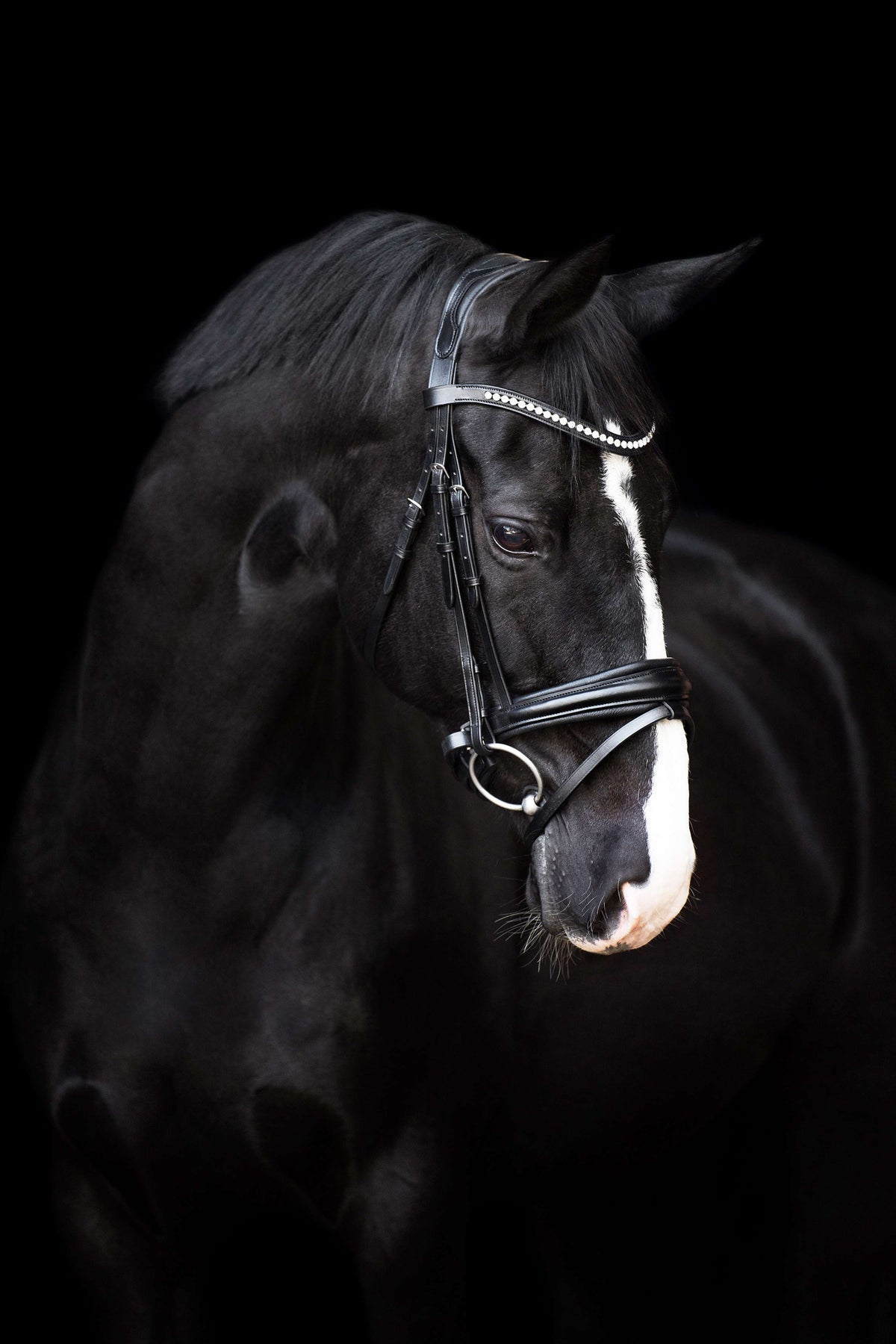 Imperial Riding Bride IRHFria Trens Noir
