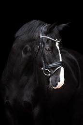 Imperial Riding Bride IRHFria Trens Noir